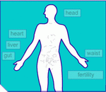 how does alcohol affect the body